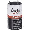 EnerSys 0850-0004 DIY