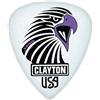CLAYTON CSAS3812 standard Sharp Acetal/polimeri per chitarra, 0.38 mm, confezione da 12 pezzi
