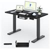 FLEXISPOT Scrivania Regolabile in Altezza 100x60 cm, Piano Unico FSC, 4 Memorie, Anticollisione con Ritorno Automatico, Portaoggetti e Gestione Cavi