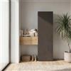 Web Convenienza Mobile Ingresso Sospeso 124x186x30 cm Made in Italy - Mobile Moderno con Colonna Armadietto Contenitore Verticale - Mobiletto Guardaroba Sospeso con Ante Apertura Battente e Ribalta (Lava e Cadiz)