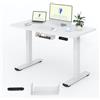 FLEXISPOT Scrivania Regolabile in Altezza 100x60 cm, Piano Unico FSC, 4 Memorie, Anticollisione con Ritorno Automatico, Portaoggetti e Gestione Cavi