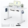 FLEXISPOT Scrivania Regolabile in Altezza 120x60 cm, Piano Unico FSC, 4 Memorie, Anticollisione con Ritorno Automatico, 2 Ganci, Portaoggetti e Gestione Cavi