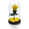 Aluisi Fiori - Rosa Stabilizzata Gialla - Base in Legno Nero Senza LED - Rosa Stabilizzata Vera in Campana di Vetro - Fiori Stabilizzati