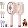 Generico Electric Spray Air Cushion Massage Comb,Pettine Elettrico Per Massaggio Con Cuscinetti Ad Aria,Ricaricabile Spazzola Per Oli Essenziali A Vapore (Pink)
