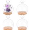 NBEADS 4 pz Espositore Decorativo per Barattoli, Copertura Decorativa A Forma Cupola In Vetro A Forma Cuore Da 7.6x10.4cm per Piante Esemplari Fiori Conservazione Esposizione Opere D'Arte, Tondo