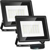 Aigostar Faretto LED da Esterno 30W 2700LM, Impermeabile IP65, 6500K, 2PCS