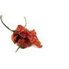 hot Peperoncino Ghost Pepper Bhût Jolokia, 10 g