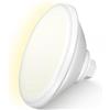 OSREE 30W Fari LED PAR56 per Piscine, Lampada Piscina Non Dimmerabile 2400lm, Luce Piscinas IP68 Impermeabile Riempito di Resina per Piscinas in Cemento, 12V AC/DC, Blanco Cálido