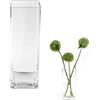 ASSRECT Vaso Vetro Trasparente 20cm Vaso di Vetro Quadrato Grande Vaso Fiori Vetro Alto Centrotavola Moderno Vaso Fiori in Stile Minimalista per la Casa, Soggiorno, Tavolo, Ufficio, 20 x 8 cm