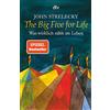 DTV The Big Five for Life: Was wirklich zählt im Leben: 34528