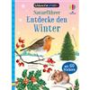 Usborne Minis - Naturführer: Entdecke den Winter: klein, aber oho - Tiere und Pflanzen im Winter - mit 60 Stickern - für Kinder ab 6 Jahren