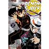 Simon & Schuster Demon Slayer Kimetsu No Yaiba 2: It Was You