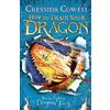 Hodder & Stoughton How to Train Your Dragon: How to Fight a Dragon's Fury: Book 12