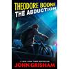 Puffin Books Theodore Boone: The Abduction: 2