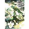 Yen Press Is It Wrong to Try to Pick Up Girls in a Dungeon?, Vol. 13 (light novel)