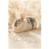 Moomi Design Bunny Cake: Soft Life Stillness, Sharp Mind... inherently: A Quiet Luxury Aesthetic Journal with Cake, a Sweet and Tender Rabbit - Self-Care, Mindful ... Wellness | 6x9 · 100 Pages 3.5mm Dot Grid