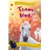 Zephyr Team Work