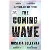CROWN The Coming Wave: AI, Power, and Our Future