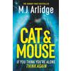 Orion Cat & Mouse: The Addictive and Gripping Crime Thriller of 2025