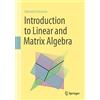 Springer Nature Introduction to Linear and Matrix Algebra