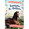 Bloomsbury Samson the Stallion