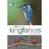Bloomsbury RSPB Spotlight Kingfishers