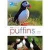 Bloomsbury Wildlife RSPB Spotlight: Puffins