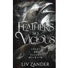Ink Heart Publishing Feathers so Vicious: A Dark Fantasy Romance: 1