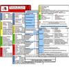 Hawelka, Verlag Schemata & Scores in Klinik & Rettungsdienst (2 Karten Set) - SSSS-Schema, ABCDE-Schema, Basics-Schema, IPAP-Schema, SAMPLER(!)S, WASB, FAST, OPQRST, PECH-Regel, DMS, 4Hs, HITS, GCS, KUSS, APGAR