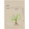 Ondo Beauty 36.5 TANG-TANG Adenosine & Zhi Mu Lifting Mask 25 g
