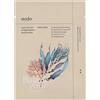 Ondo Beauty 36.5 CHOK-CHOK Hyaluronic Acid & Algae Moisture Boosting Mask 25 g