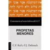 Clie Comentario al texto hebreo del Antiguo Testamento / Commentary on the Hebrew Text of the Old Testament