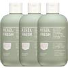 DERMAPLUS RISIL FRESH - Detergente intimo Uomo pH 5 - Addolcente e rinfrescante, a base di acqua fermentata di riso e tè verde - dermatologicamente testato per la pelle sensibile - 3x300 ml
