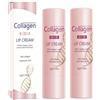 SANZHUAN Collagen Lip Balm, 2 pezzi idratanti ialuronici acido ialuronico Lip Balm, Dry Lips Care Lip Moisturizer, Nourishing Lip Primer for Lipstick, Improves Lip Elasticity & Hydration, Gentle Exfoliating