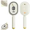 Generico Electric Spray Air Cushion Comb for Women,3-in-1 Detangling Rechargeable Essential Oil Hair Steam Brush,Anti-Static Misting Hair Brushing Tool with Red Light for Dry Frizzy Hairs (Beige)