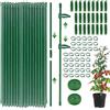 mizikuu Supporto per piante, 40 pezzi da 30 cm, supporto per piante rampicanti, con 40 clip, 25 connettori e 2 fascette per piante, cetrioli, pomodori, orchidee, fagioli e fiori