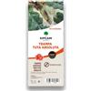 Nexum Market Trappole Tuta Assoluta (10 unità) per pomodori, peperoni, melanzane e altre colture di orto molto efficaci | Senza insetticidi, senza sostanze chimiche ed ecologiche | trappole cromatiche