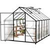 FIVMEN Serra in alluminio Serre da giardino con fondamenta da 6 cm e pannello PC da 4 mm Serra Tomatenhaus Casa da giardino resistente ai raggi UV resistente alle intemperie per il giardino, 380 x 250