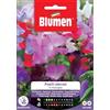 Blumen SEMI PISELLO ODOROSO MIX BLUMEN