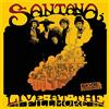 VIDOL Live At The Fillmore '68