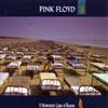 COLUMBIA Momentary Lapse of Reason