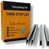 Terryshop74® 5000 Spillette per Spillatrice Pneumatica 5,8 x 16 mm - Punti Metallici per Air Stapler - Ideali per Legno, Tappezzeria, Cornici e Falegnameria - 5000 Pezzi