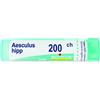 BOIRON Srl AESCULUS HIPPOCAST 200CH GL BO
