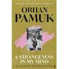 Orhan Pamuk A Strangeness in My Mind (Tascabile)