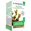 ARKOFARM Srl Arko capsule fucus bio 45 capsule