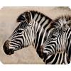 Fabulous Tappetino per mouse in similpelle coppia giovane zebre animali selvatici Savana Africa (22 x 18 cm)