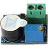 Generico Modulo di Protezione Della Batteria da 9 V e 12 V Modulo di Allarme Acustico per Bassa Tensione e Sottotensione con Protezione da Cablaggio Invertito e Spia di Allarme