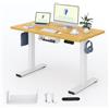 FLEXISPOT Scrivania Regolabile in Altezza 120x60 cm, Piano Unico FSC, 4 Memorie, Anticollisione con Ritorno Automatico, 2 Ganci, Portaoggetti e Gestione Cavi