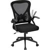 WOLTU Sedia da Ufficio Ergonomica con Supporto Lombare e Ruote, Altezza e Braccioli Regolabili, Sedia Scrivania con Funzione Oscillante e Girevole 360°, in Tessuto a Rete, per Studio o Ufficio, Nero