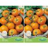 Germisem Goldene Köningin Semi di Pomodoro 0.5 g (Confezione da 2)